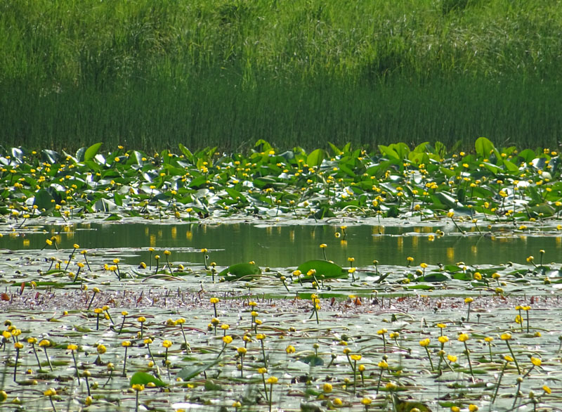 Laghi.......del TRENTINO